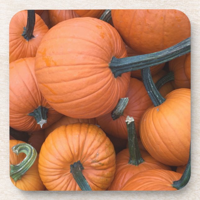 Pumpkin Pile! Getränkeuntersetzer (Vorderseite)