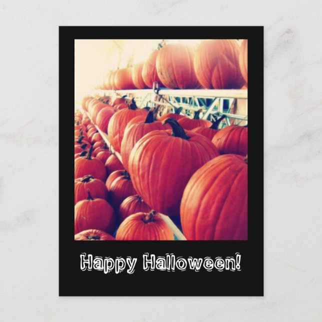 Pumpkin Postcard Postkarte (Vorderseite)