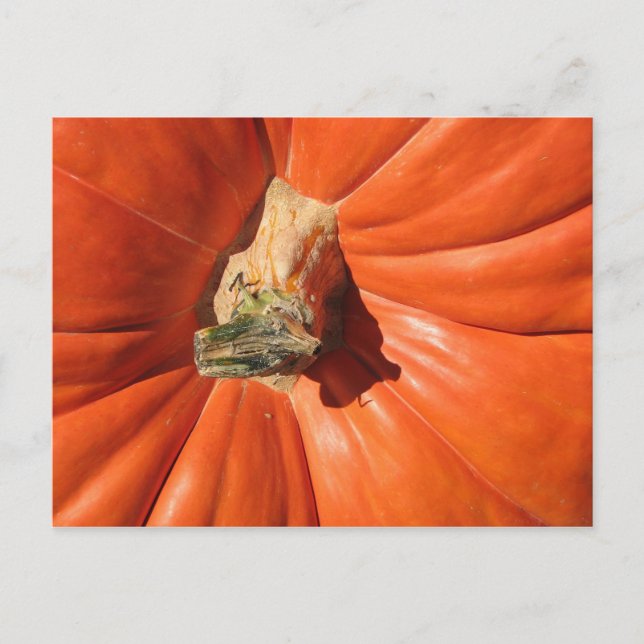 Pumpkin Postkarte (Vorderseite)