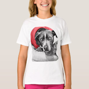 Pumpkin Red Guardian T-Shirt