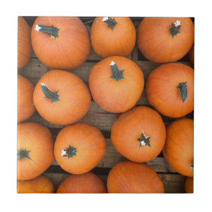 Pumpkin Rows Fliese