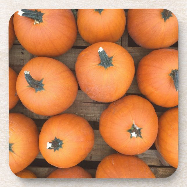 Pumpkin Rows Untersetzer (Vorderseite)