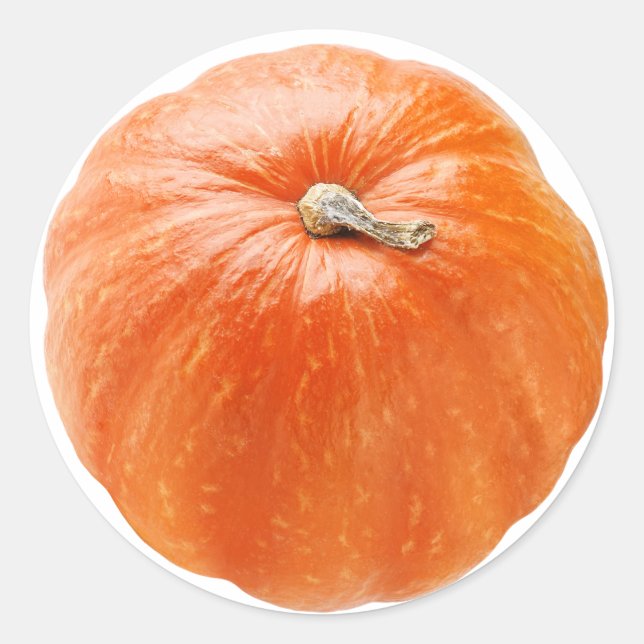 Pumpkin Runder Aufkleber (Vorderseite)