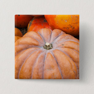 Pumpkin-Saison Button