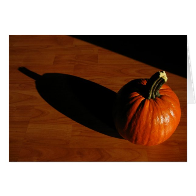 Pumpkin Shadow (Vorderseite (Horizontal))