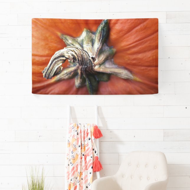 Pumpkin Spiral  Banner (Insitu)