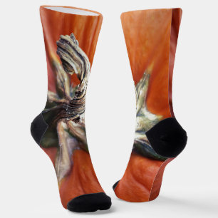 Pumpkin Spiral Socken