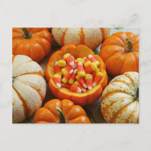 Pumpkin und Candy Corn Postkarte