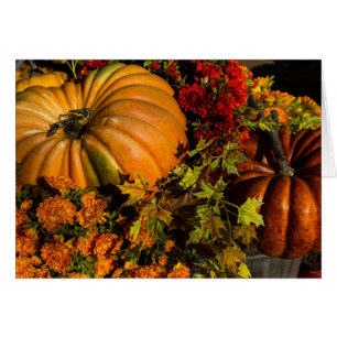 Pumpkin- und Mum-Arrangement