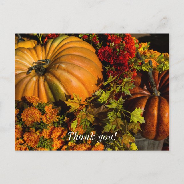 Pumpkin- und Mum-Arrangement Postkarte (Vorderseite)