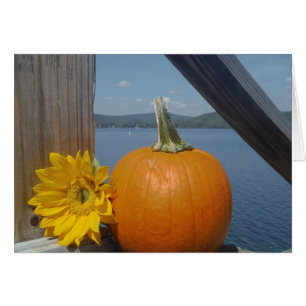 Pumpkin und Sonnenblumen am See