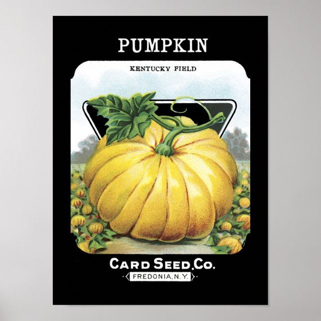 Pumpkin-Vintage Saatpackung Poster (Vorne)