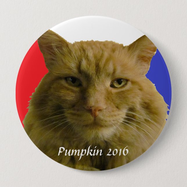 Pumpkin Wahlkampagne 2016 Button (Vorderseite)
