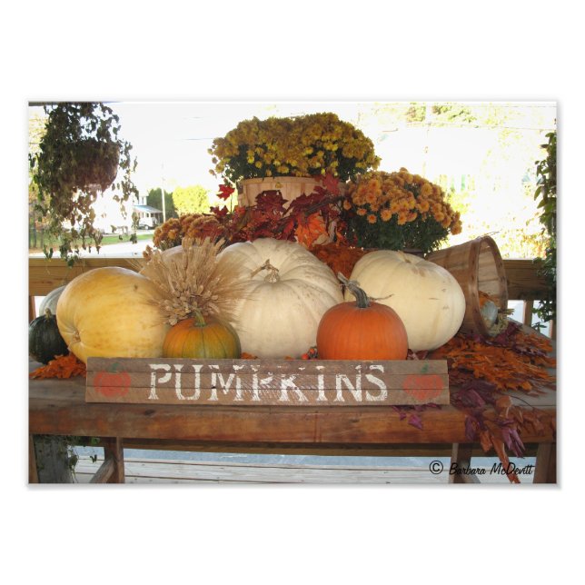 Pumpkin Welcome Print Fotodruck (Vorne)
