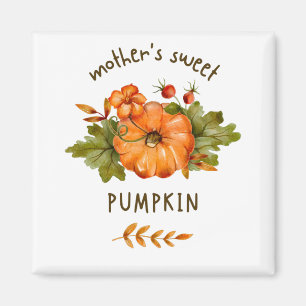 Pumpkinmagnete Magnet