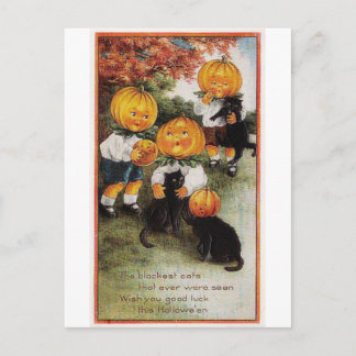 Pumpkins and Cats Vintage Halloween Postkarte