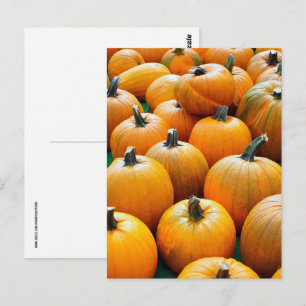 PUMPKINS AUTUMN FALL HARVEST POSTCARDS POSTKARTE