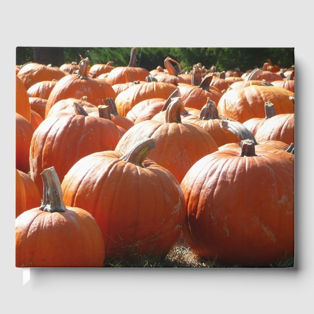 Pumpkins Foto für Herbst, Halloween oder Erntedank Gästebuch (Vorderseite)