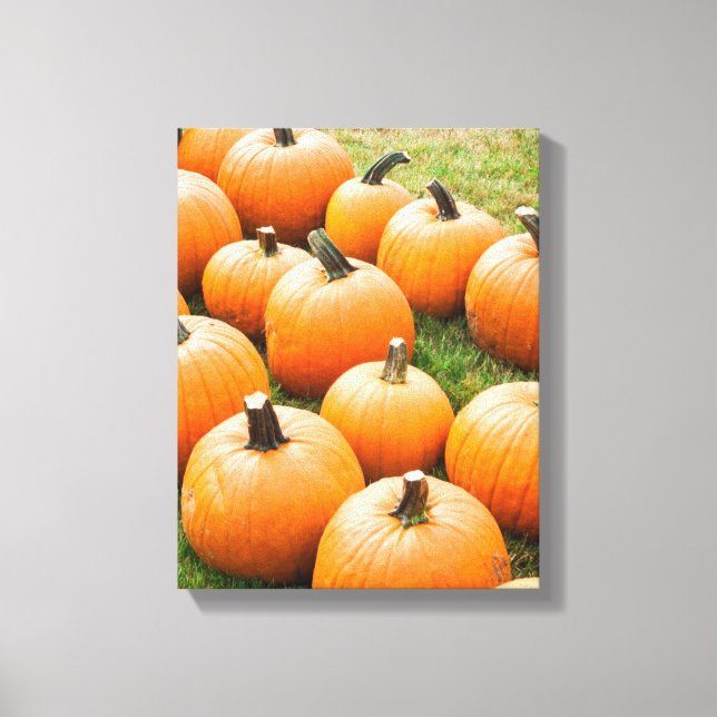 Pumpkins für den Verkauf auf einem Bauernmarkt Leinwanddruck (Vorderseite)