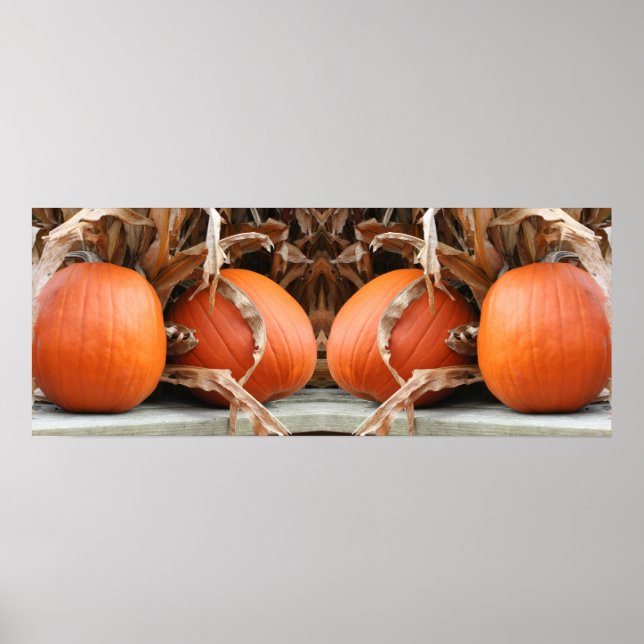 Pumpkins Getrocknete Maisstähle Mirror Abstrakt Poster (Vorne)