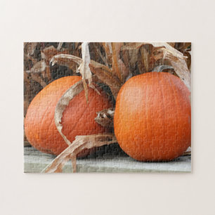 Pumpkins Getrocknete Maisställe Herbst  Puzzle