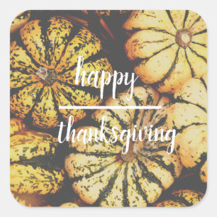 Pumpkins Happy Thanksgiving Quadratischer Aufkleber