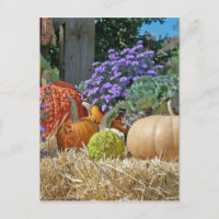 Pumpkins Herbst Purple Blumen Liebe Frieden Kunst