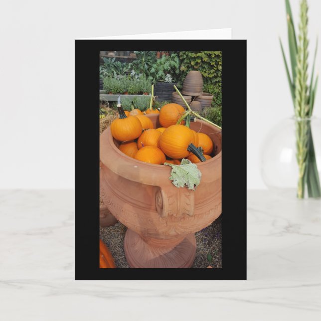Pumpkins Herbstgrube Karte (Vorderseite)