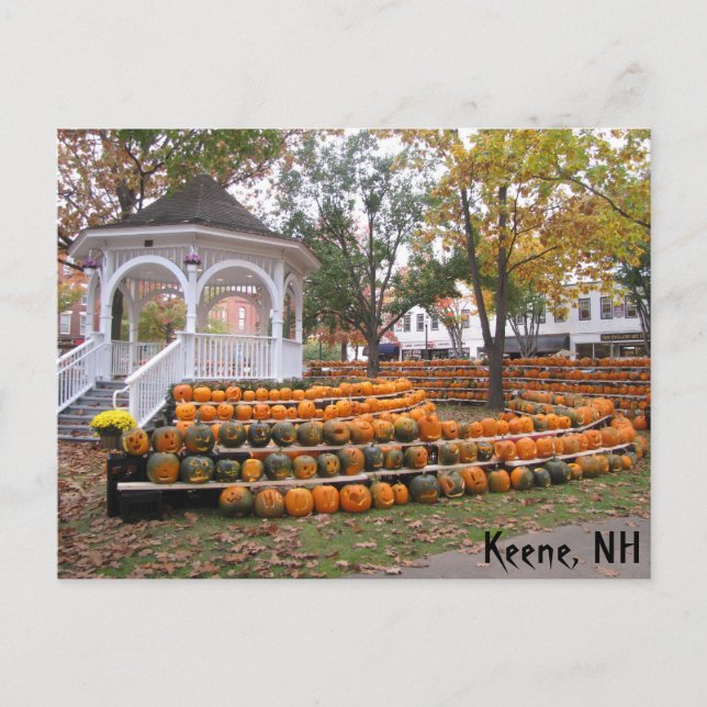 Pumpkins in Keene, NH Postkarte (Vorderseite)