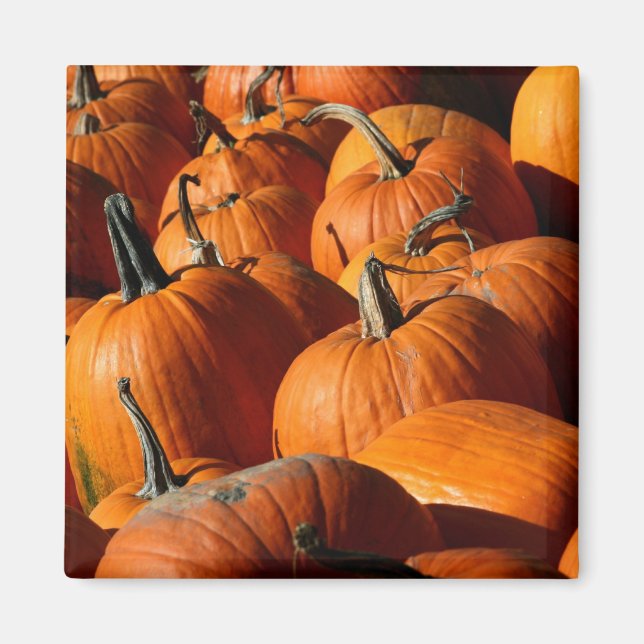 Pumpkins Magnet (Vorne)