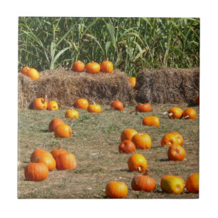Pumpkins, Mais und Hay Herbst Erntefotografie Fliese