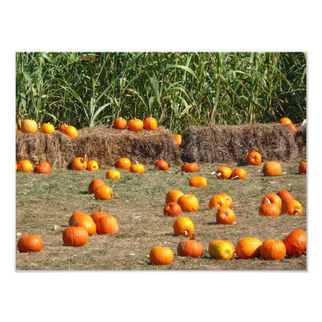 Pumpkins, Mais und Hay Herbst Erntefotografie Fotodruck (Vorne)