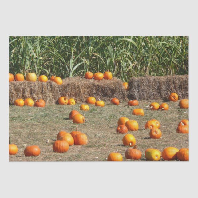 Pumpkins, Mais und Hay Herbst Erntefotografie Seidenpapier (Vorderseite)