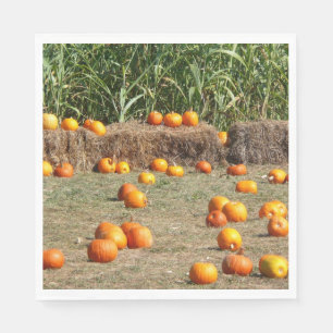 Pumpkins, Mais und Hay Herbst Erntefotografie Serviette