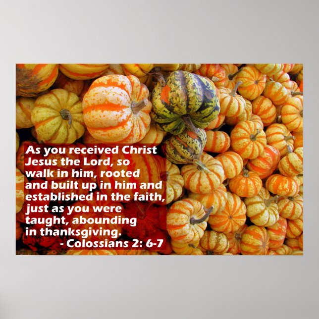 Pumpkins mit Spalte 2: 6-7 Poster (Vorne)