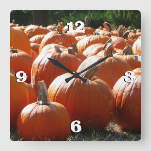 Pumpkins Photo for Fall, Halloween or Thanksgiving Quadratische Wanduhr