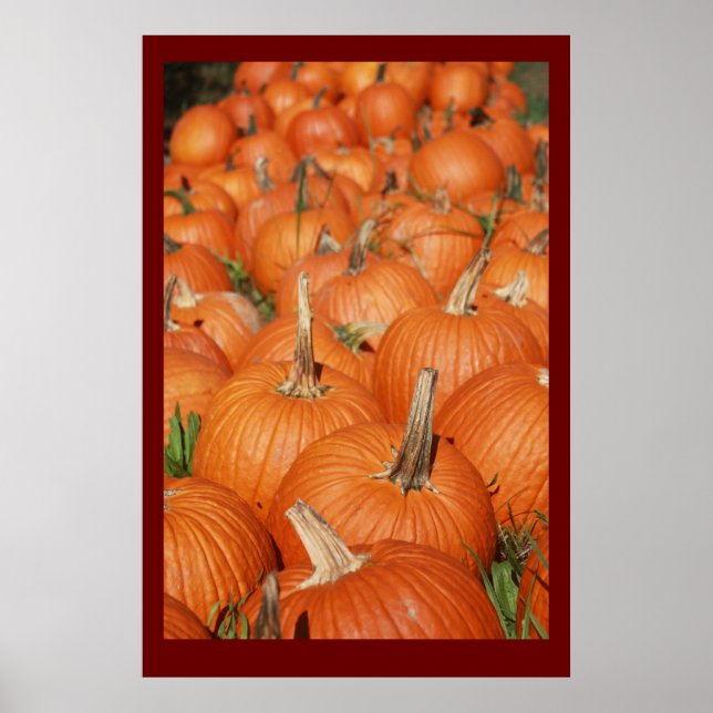 PUMPKINS! POSTER (Vorne)