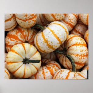 Pumpkins Poster