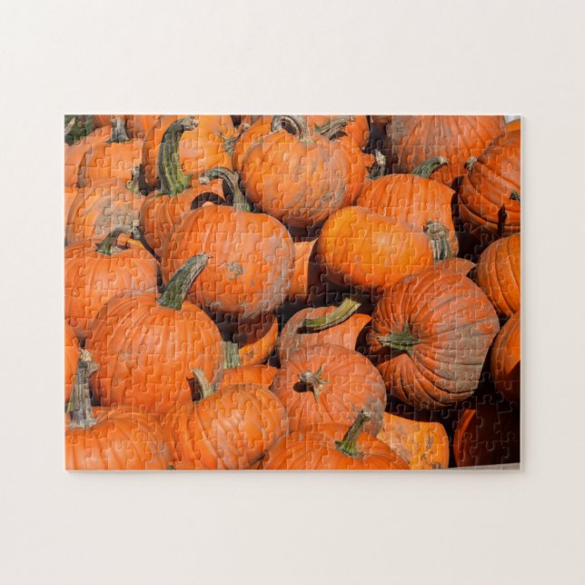 Pumpkins, Pumpkins, Pumpkins - 11x14 - 252 Stk. Puzzle (Horizontal)