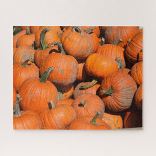 Pumpkins, Pumpkins, Pumpkins - 16x20 - 520 Stk. Puzzle