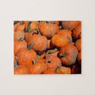 Pumpkins, Pumpkins, Pumpkins - 8x10 - 110 Stk. Puzzle