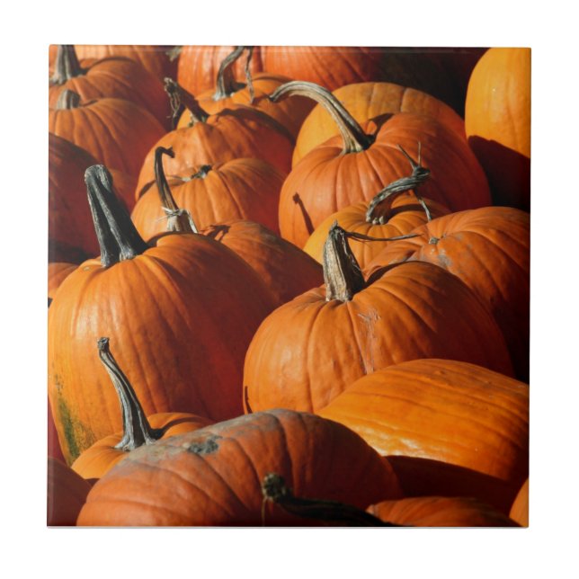 Pumpkins Tile Fliese (Vorderseite)