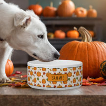 Pumpkins und farbige Herbstlemme; Muster und Name