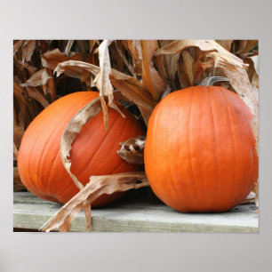 Pumpkins und getrocknete Maisstämme Herbst Poster