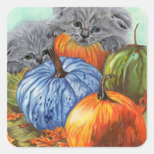 Pumpkins und Kittensticker Quadratischer Aufkleber