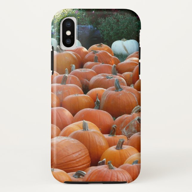 Pumpkins und Mums Herbsternte Fotografie Case-Mate iPhone Hülle (Rückseite)