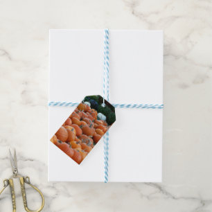 Pumpkins und Mums Herbsternte Fotografie Geschenkanhänger