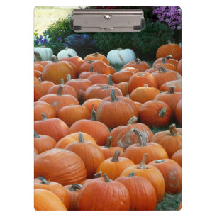 Pumpkins und Mums Herbsternte Fotografie Klemmbrett