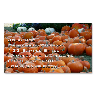 Pumpkins und Mums Herbsternte Fotografie Magnetische Visitenkarte