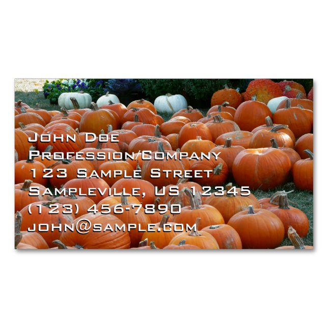 Pumpkins und Mums Herbsternte Fotografie Magnetische Visitenkarte (Vorderseite)